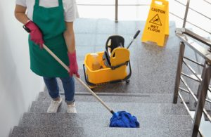 Cleaner